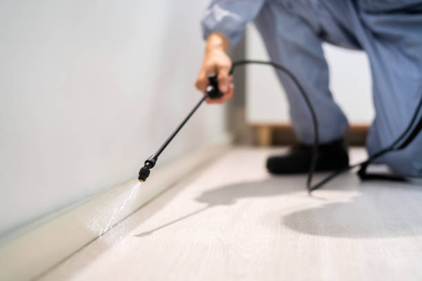 Licensed Pest Control service in Huntington, TX - Show Me Pest Control
