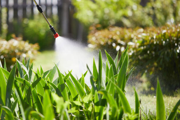 24/7 Emergency Mosquito Control experts in Huntington, TX