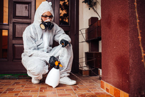 Reliable Mosquito Control contractor in Huntington, TX by Show Me Pest Control